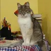 Отзыв от Таисия Комиссарова